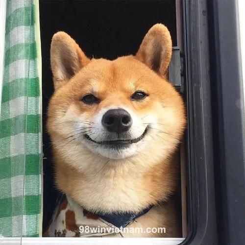 Ảnh đại diện của Quỳnh